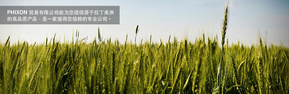  trade Latin America, mutton Argentina, horse meat Uruguay, mutton Uruguay, mutton Latin America, lamb South America, buy soybean Argentina, buy rice Argentina, trade company Uruguay.