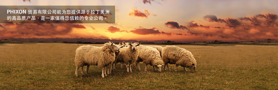 beef Paraguay, beef Brasi, trade Paraguay, trade Brasil, Carne Uruguay, Carne Argentina, Carne Brasil, carne Paraguay, beef Argentina, trade South America, trade Uruguay.