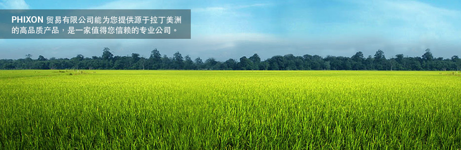 PHIXON Trade Company is a reliable and professional company that offers high quality Latin American products beef Paraguay, beef Brasi, trade Paraguay, trade Brasil, Carne Uruguay, Carne Argentina, Carne Brasil, carne Paraguay, beef Argentina, trade South America, trade Uruguay.