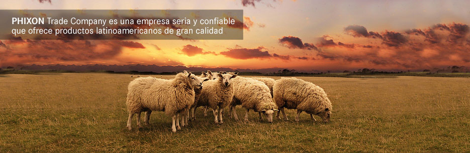 Phixon Trade Company es una empresa de Uruguay que opera en el comercio internacional de mercaderías.