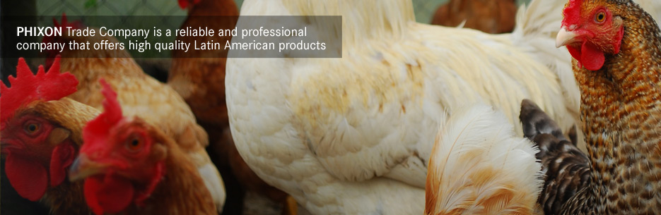 Phixon Trade Company es una empresa de Uruguay que opera en el comercio internacional de mercaderías. trade Latin America, mutton Argentina, horse meat Uruguay, mutton Uruguay, mutton Latin America, lamb South America, buy soybean Argentina, buy rice Argentina, trade company Uruguay.