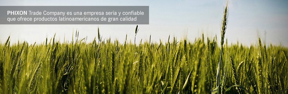 buy rice Argentina, trade company Uruguay, soybean Uruguay, buy yellow corn Argentina, trading Uruguay, buy soybean South America.