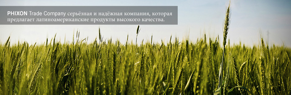  trade Latin America, mutton Argentina, horse meat Uruguay, mutton Uruguay, mutton Latin America, lamb South America, buy soybean Argentina, buy rice Argentina, trade company Uruguay.