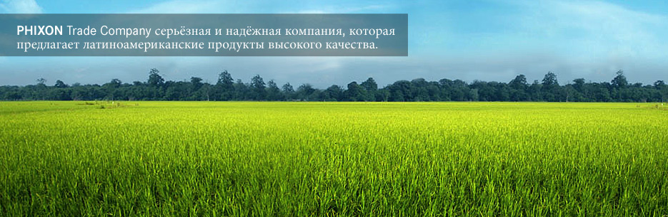 beef Paraguay, beef Brasi, trade Paraguay, trade Brasil, Carne Uruguay, Carne Argentina, Carne Brasil, carne Paraguay, beef Argentina, trade South America, trade Uruguay.